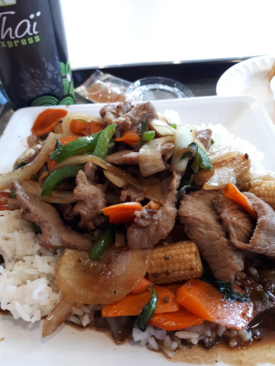 Thai Express Restaurant Ottawa-5