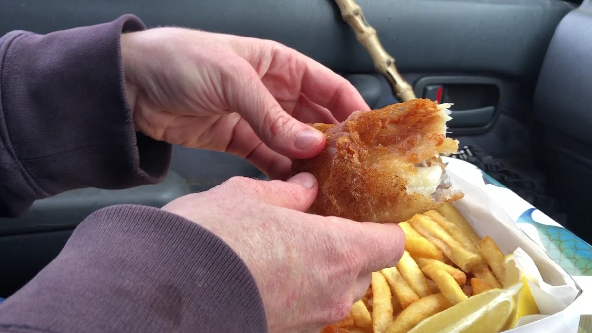The Ageing Frog Fish Bar-2