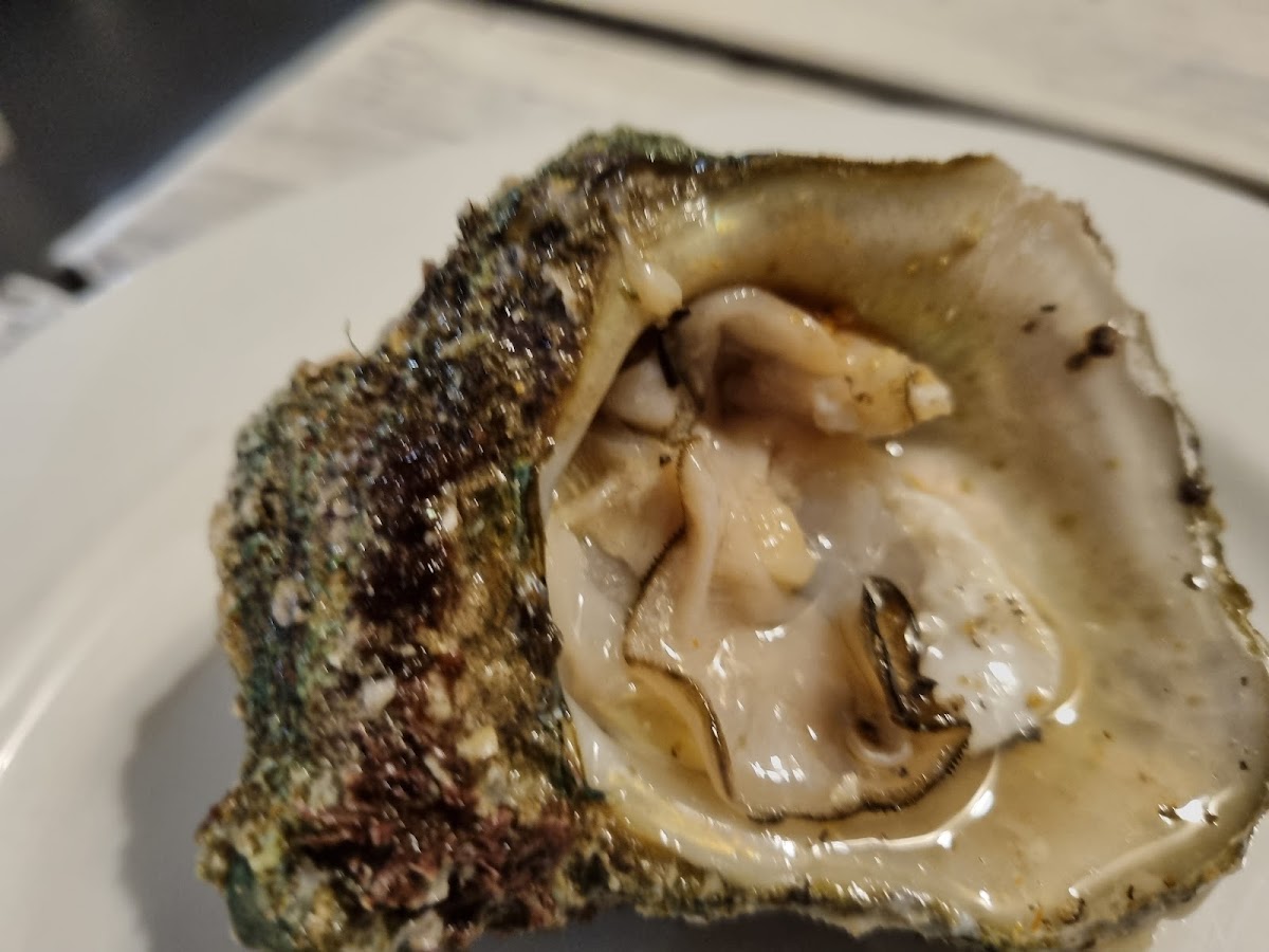 The Anchorage Beach Restaurant & Bar-9