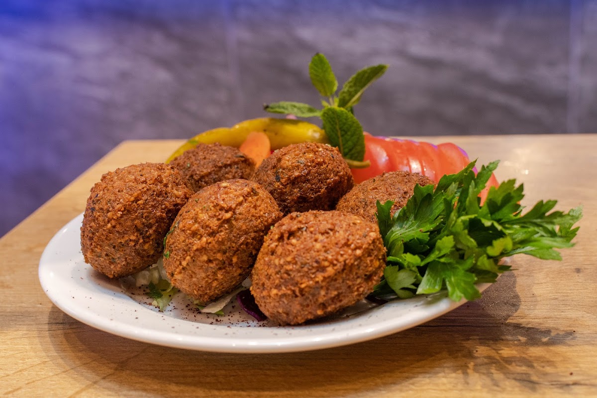 The Bake One (Lebanese Restaurant Gosforth)-5