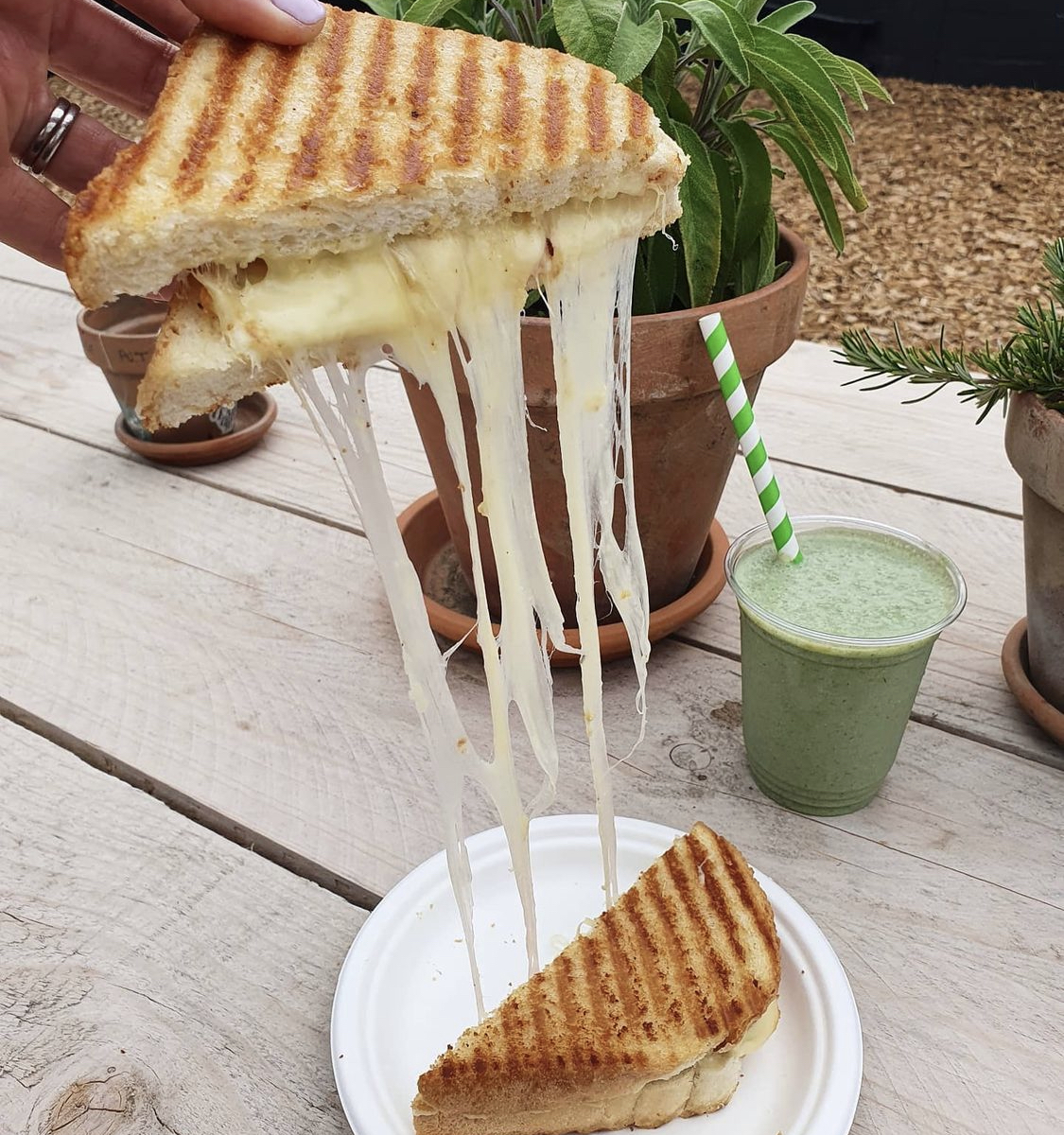 The Cheese Shed-3