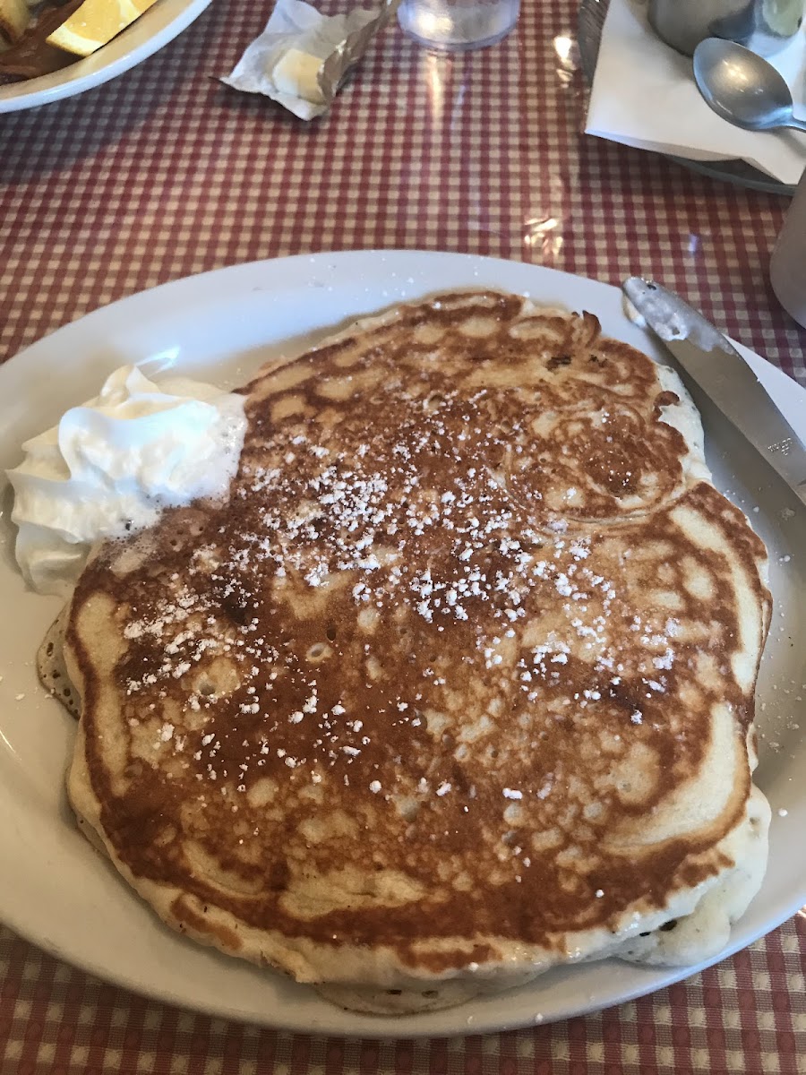 The Chocolate Gallery Cafe-9