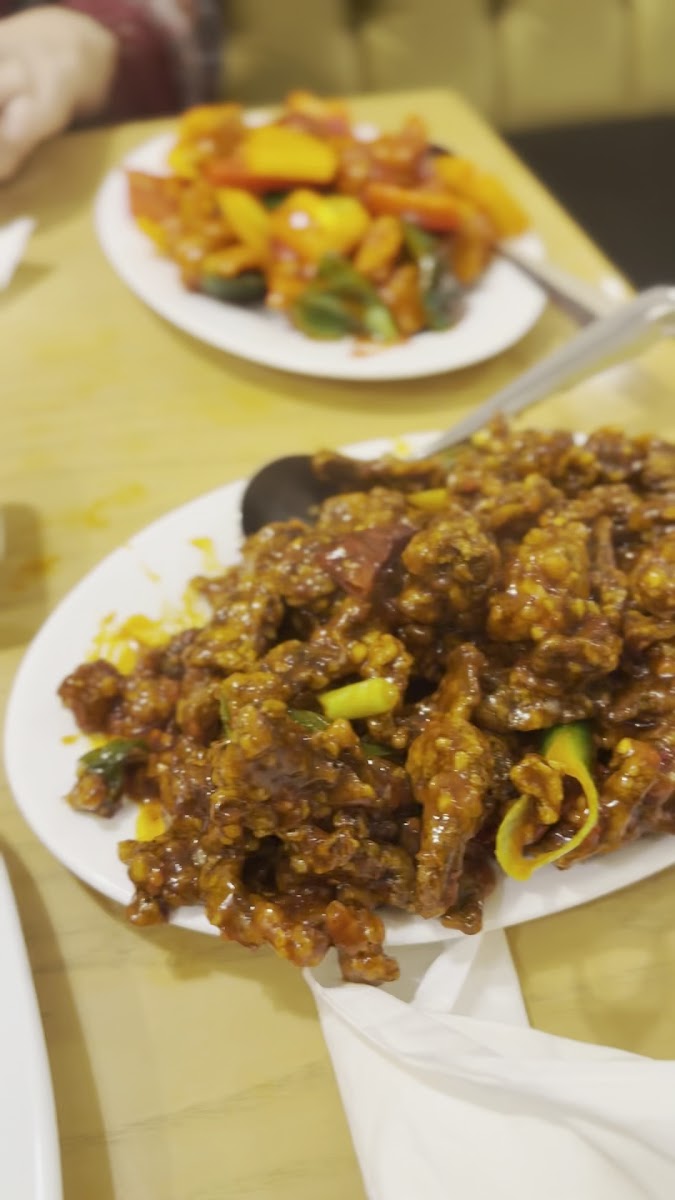 The Desert Wok Restaurant Jvc-2
