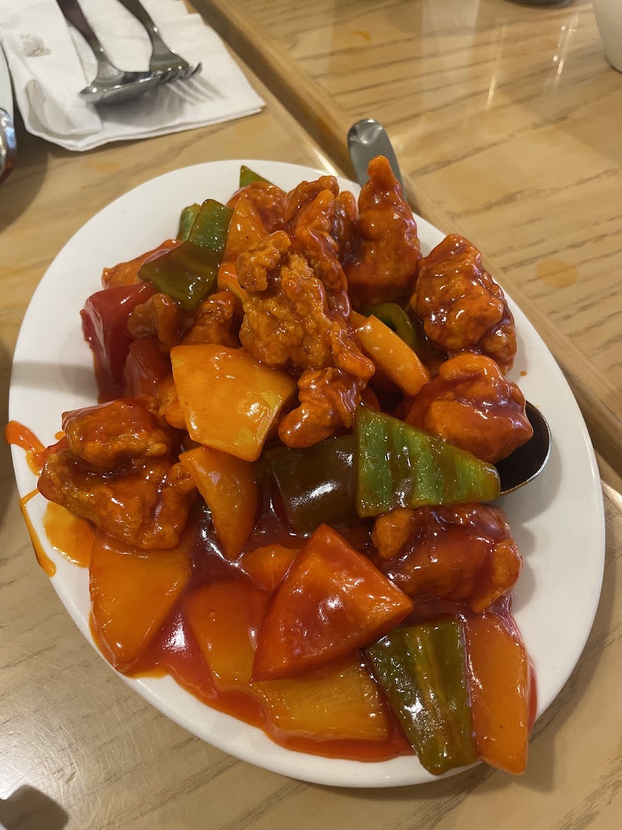The Desert Wok Restaurant Jvc-3