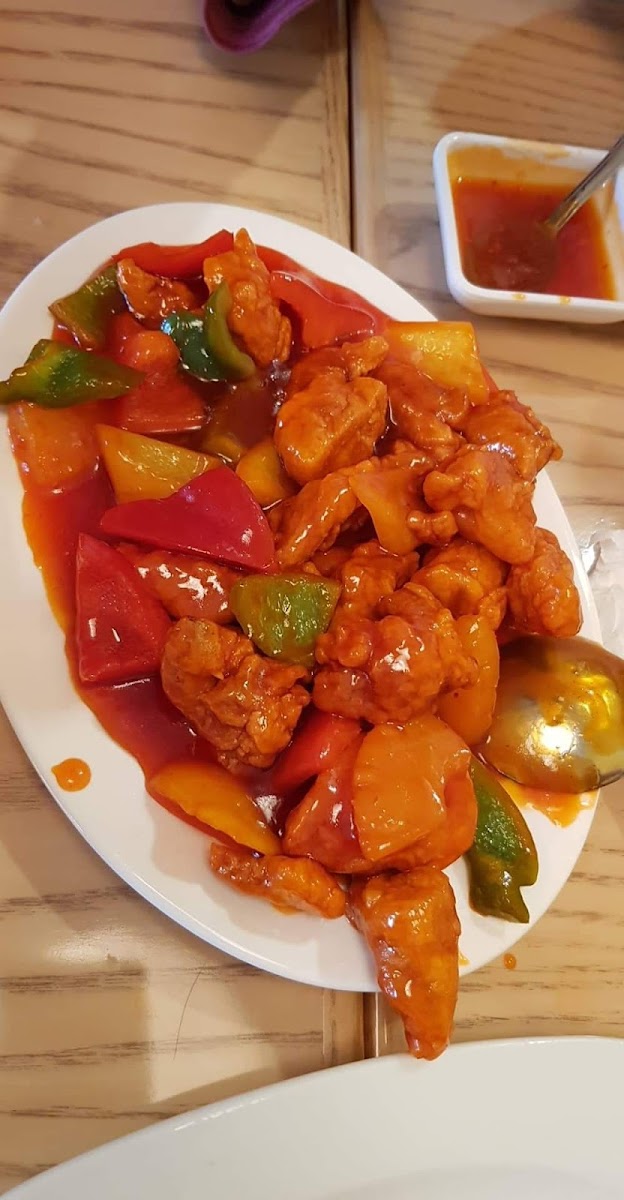 The Desert Wok Restaurant Jvc-8