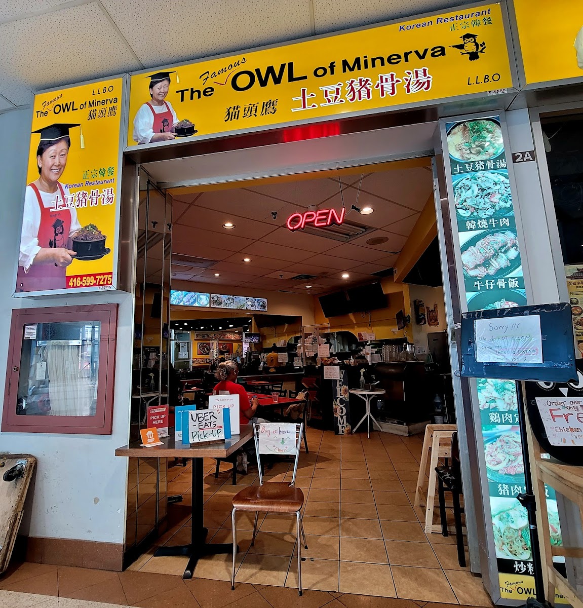 The Famous Owl Of Minerva