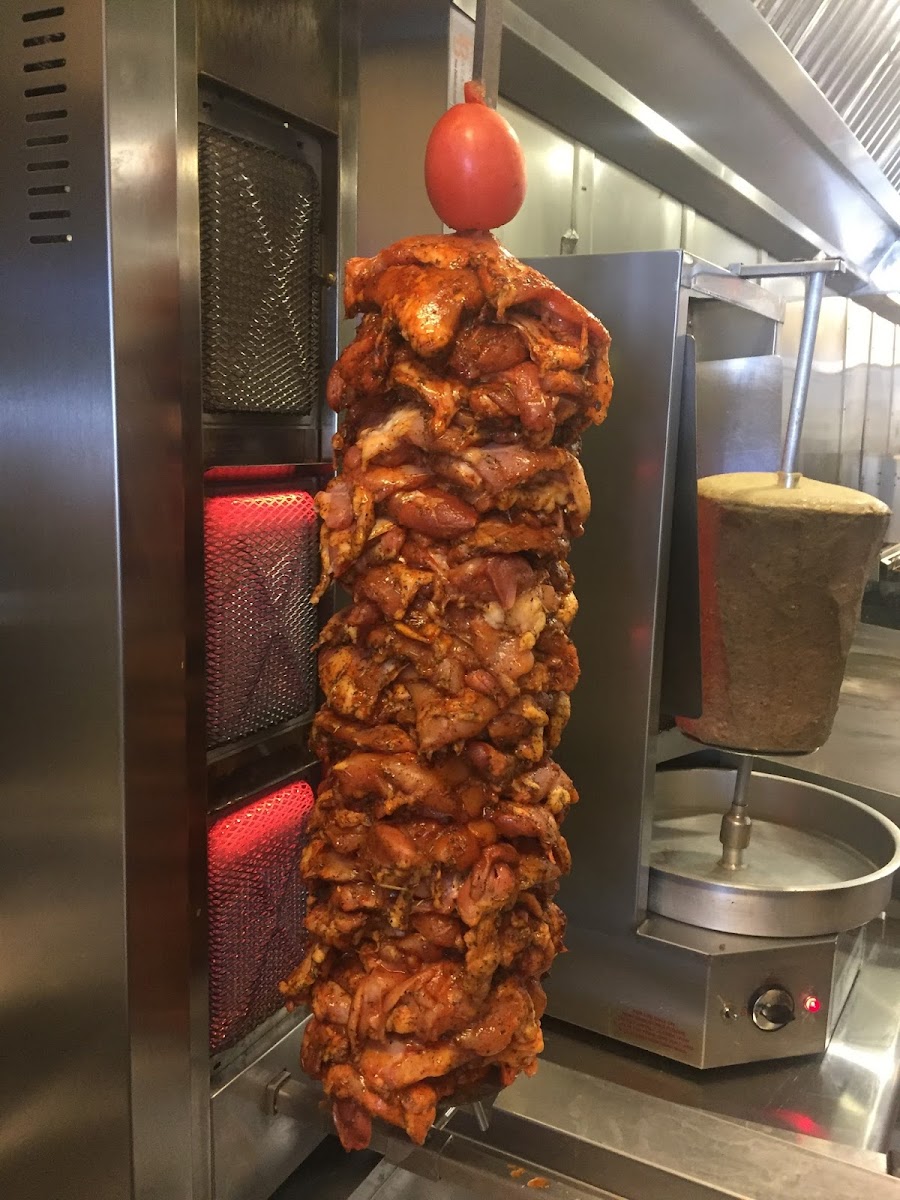 The Fat Lamb-2