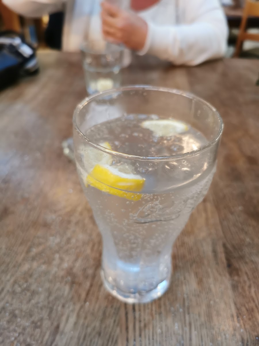 The Fish Project-10