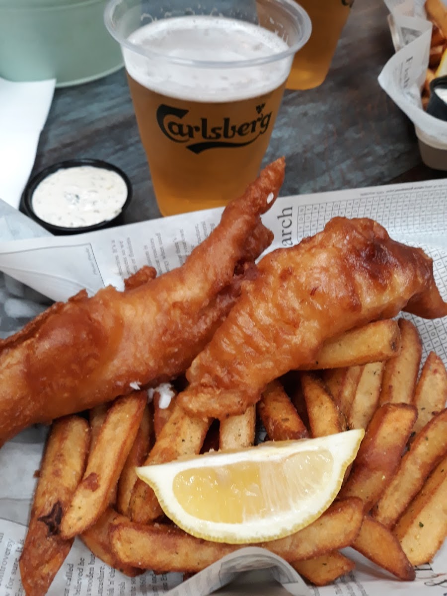 The Fish Project-6