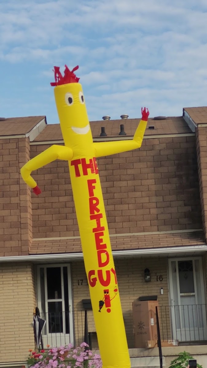The Fried Guy!-3