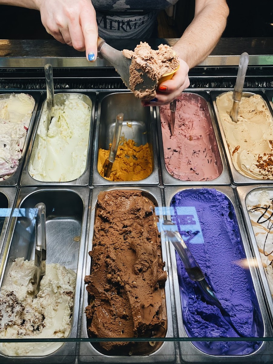 The Gelateria-2