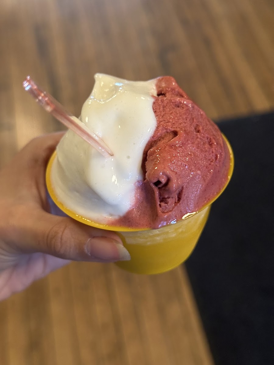 The Gelateria-4