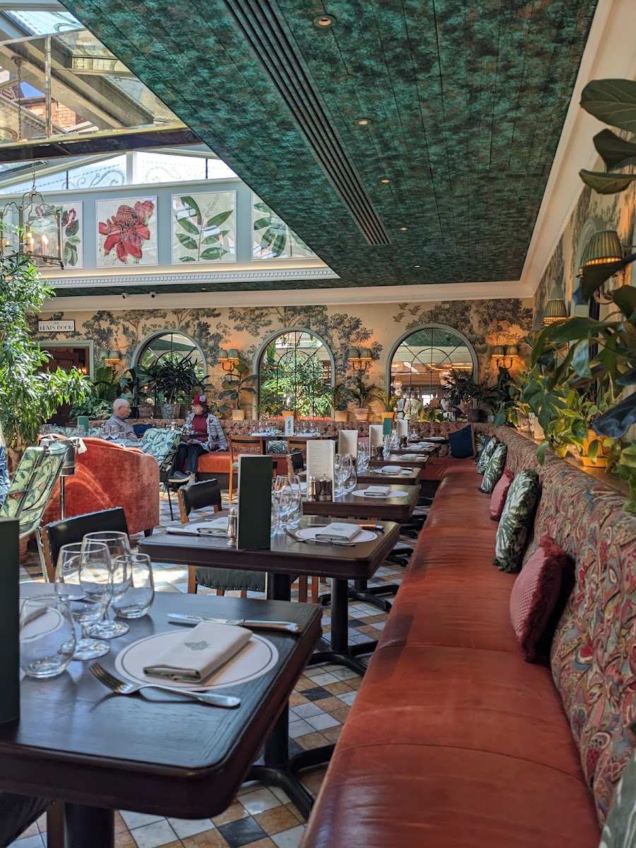 The Ivy Chichester