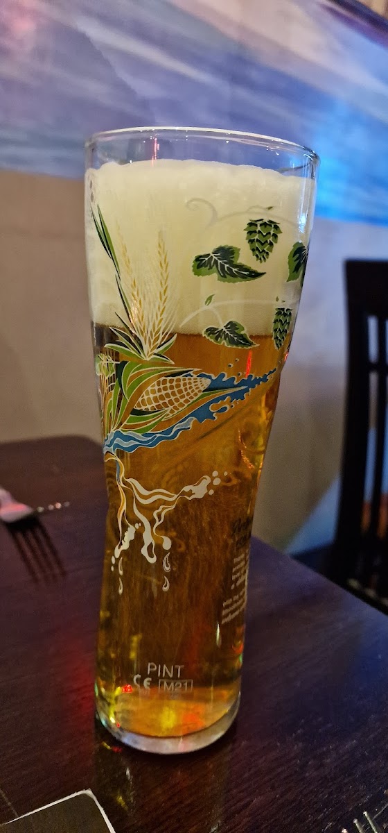 The Mughal's Indian Restaurant (Paddington)-9