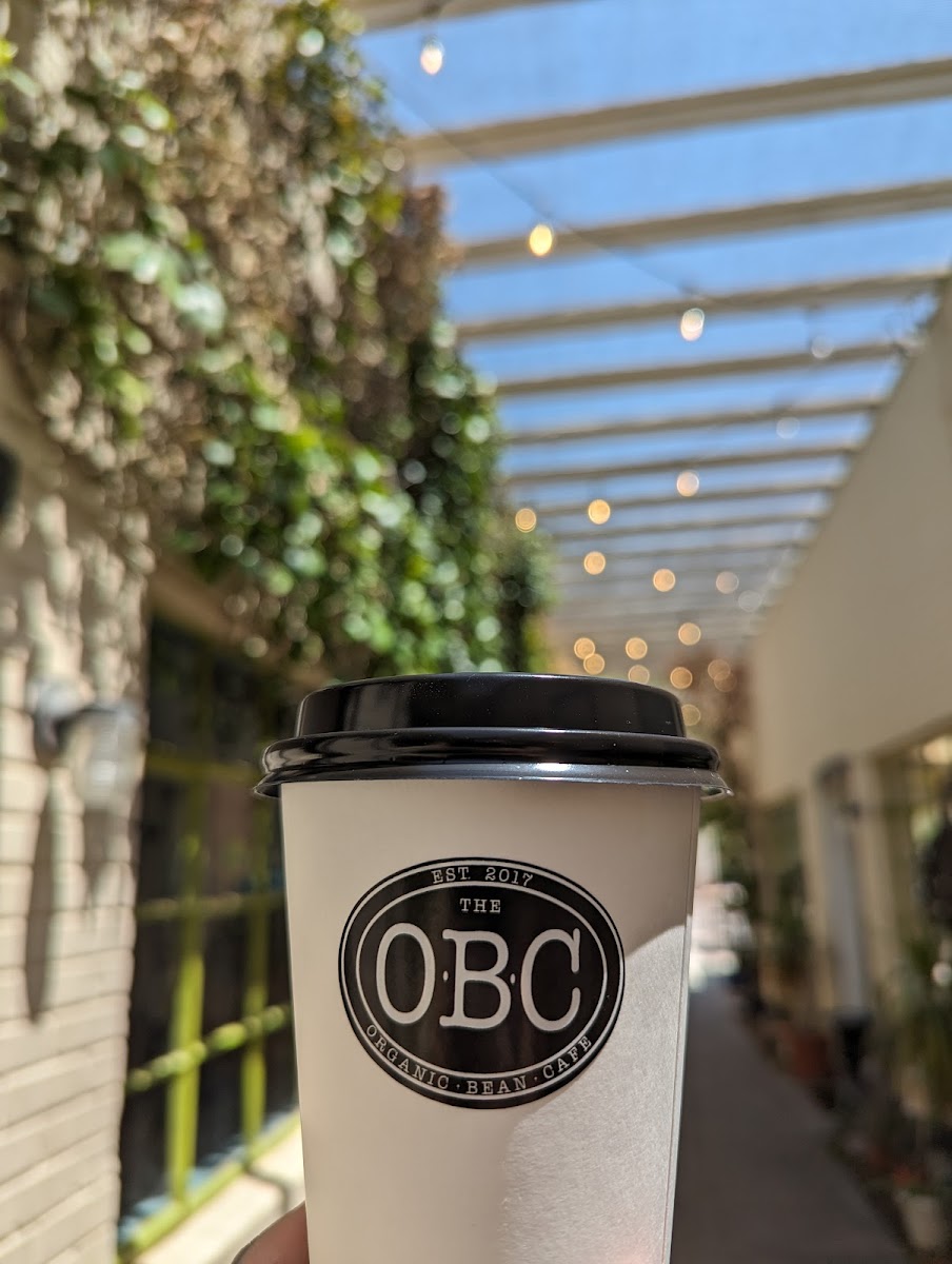 The Organic Bean Café-8