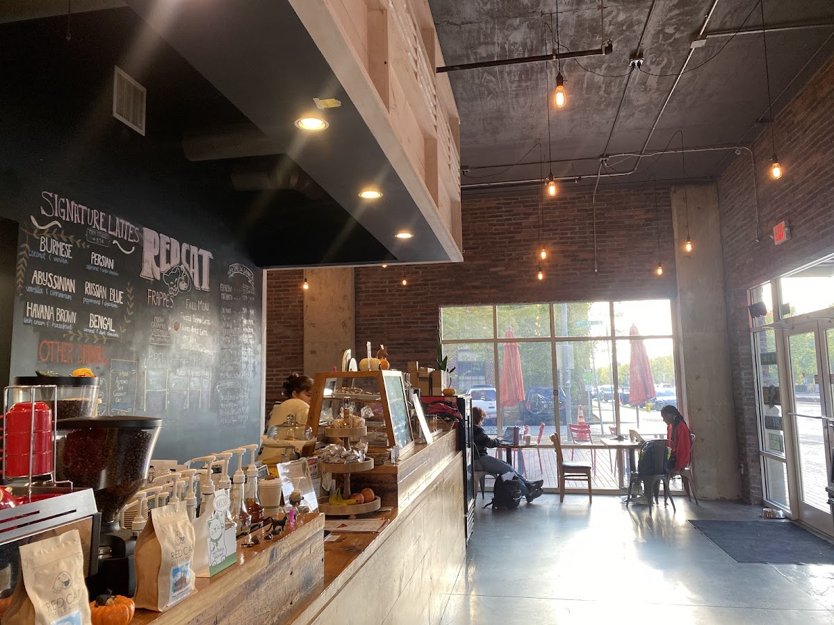The Red Cat @ Railroad Park-4