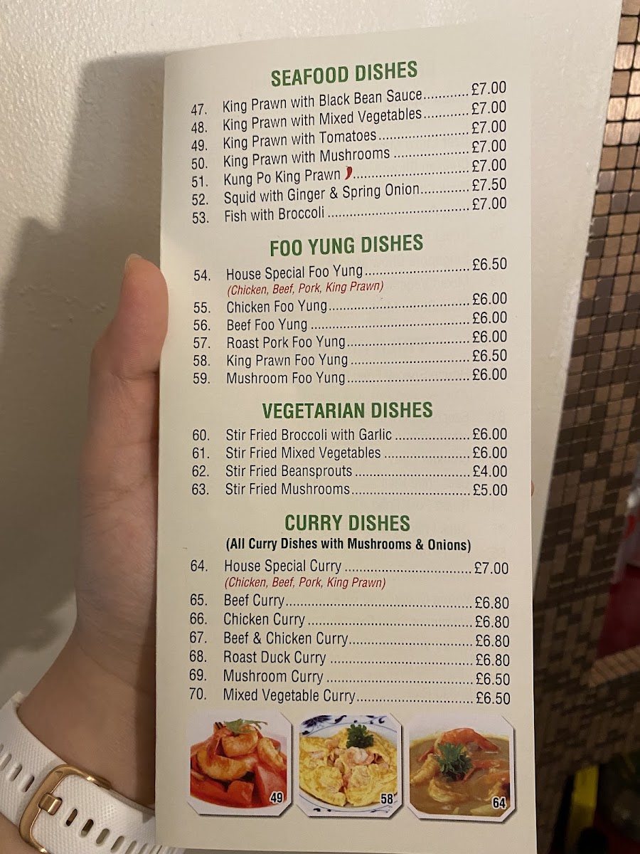 Menu The Szechuan Restaurant-9