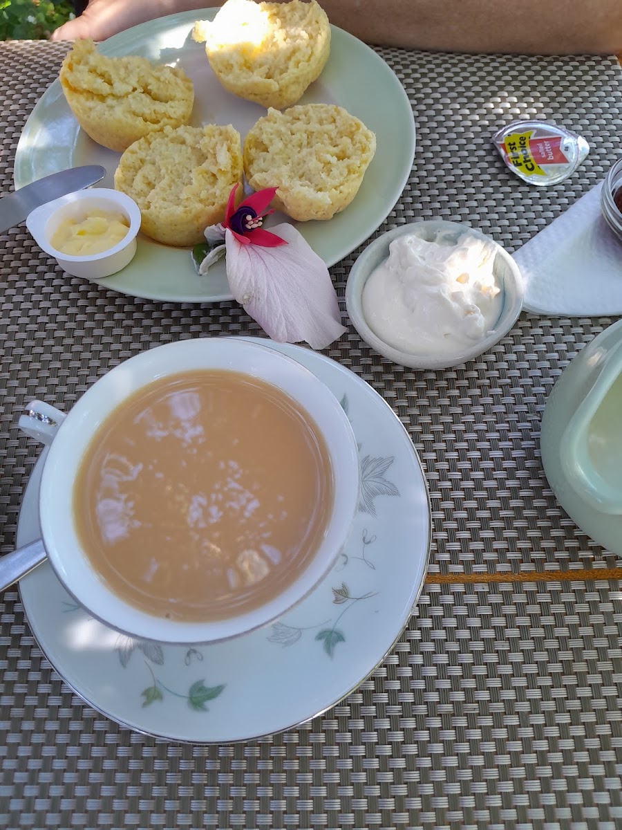 The Tea Junxion-10