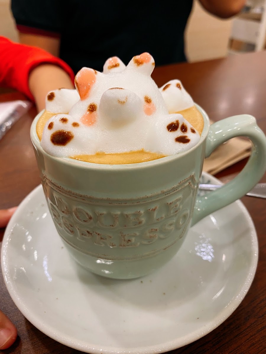 The Teddy-5