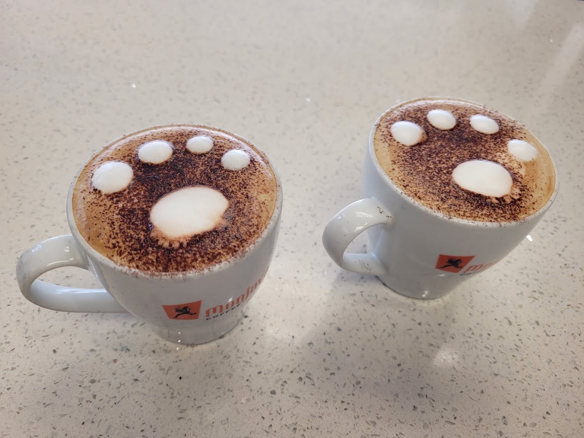 Theo's Coffee Lounge-5