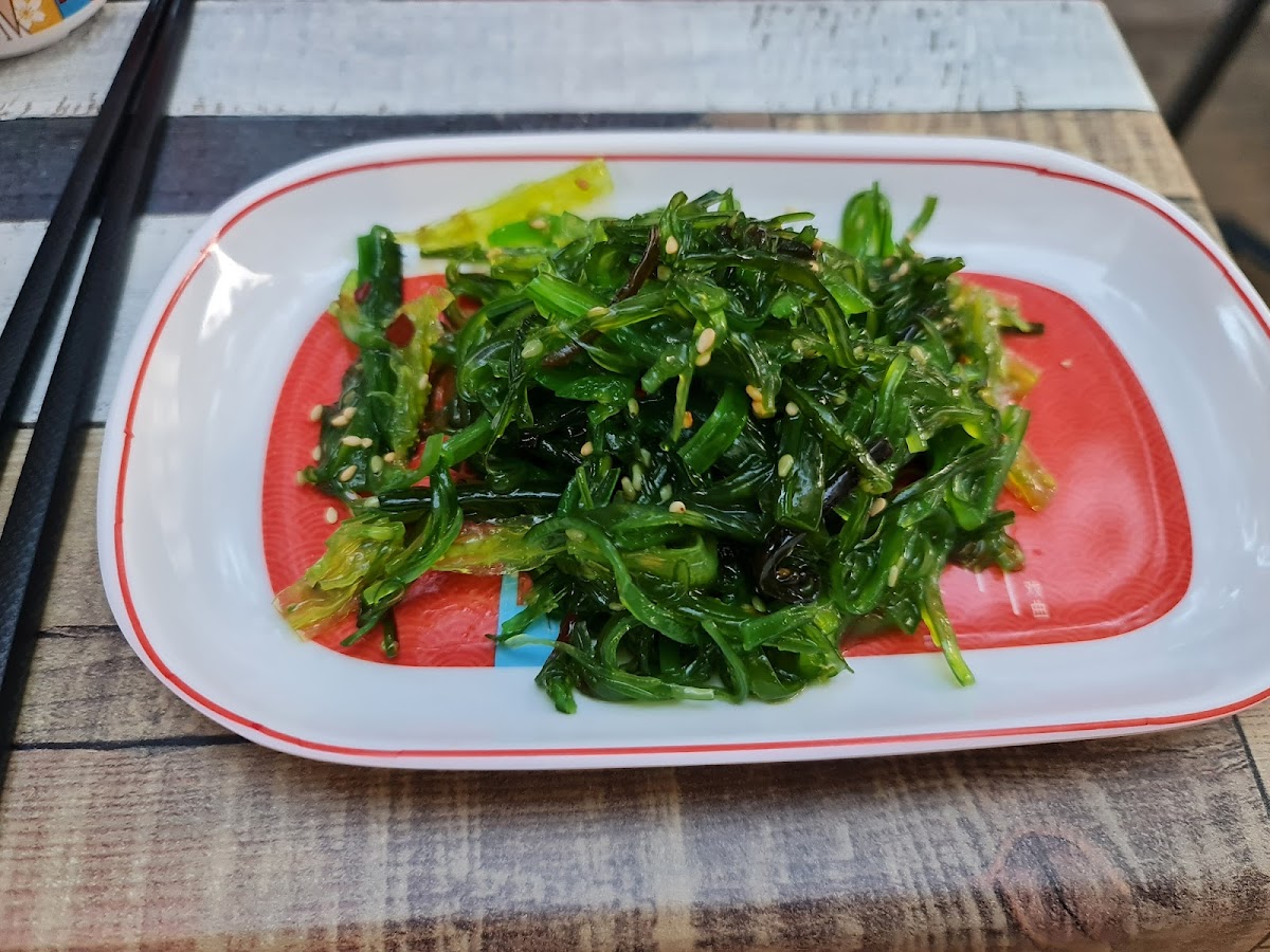 Tiger Noodles Antigone-10