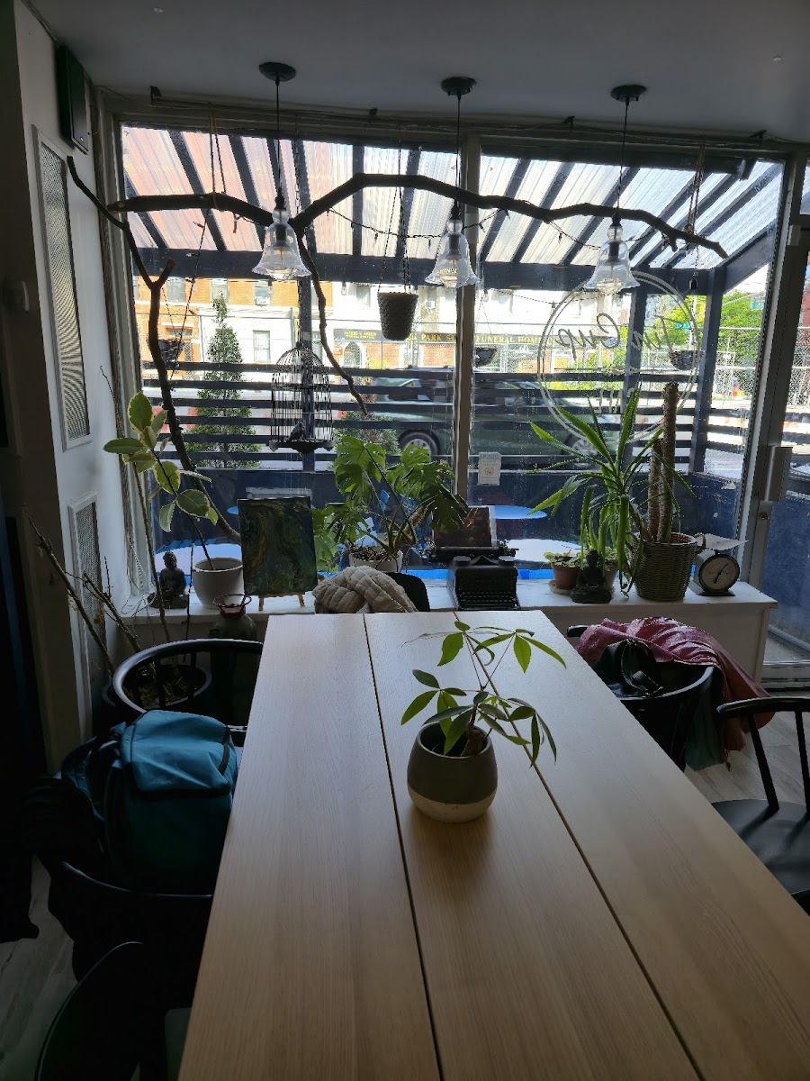 Tin Cup Cafe-2