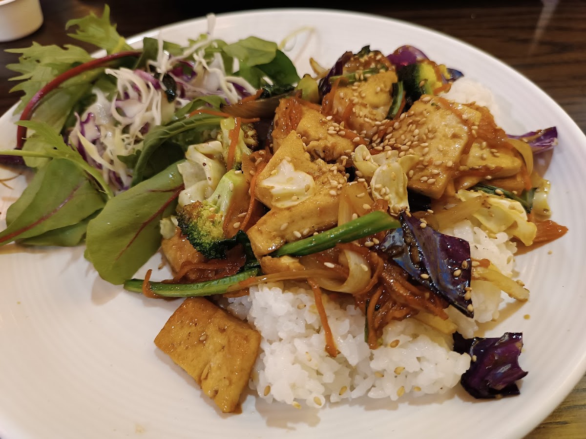Tj Katsu-8