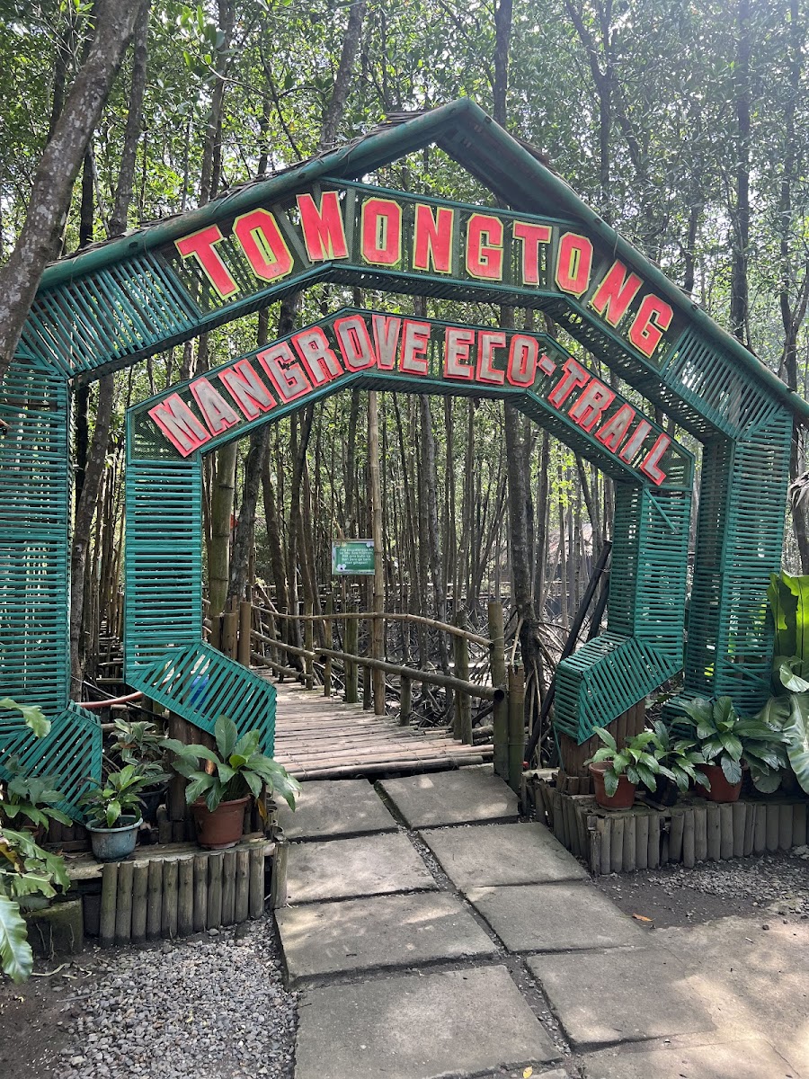 Tomongtong Mangrove Trail-4