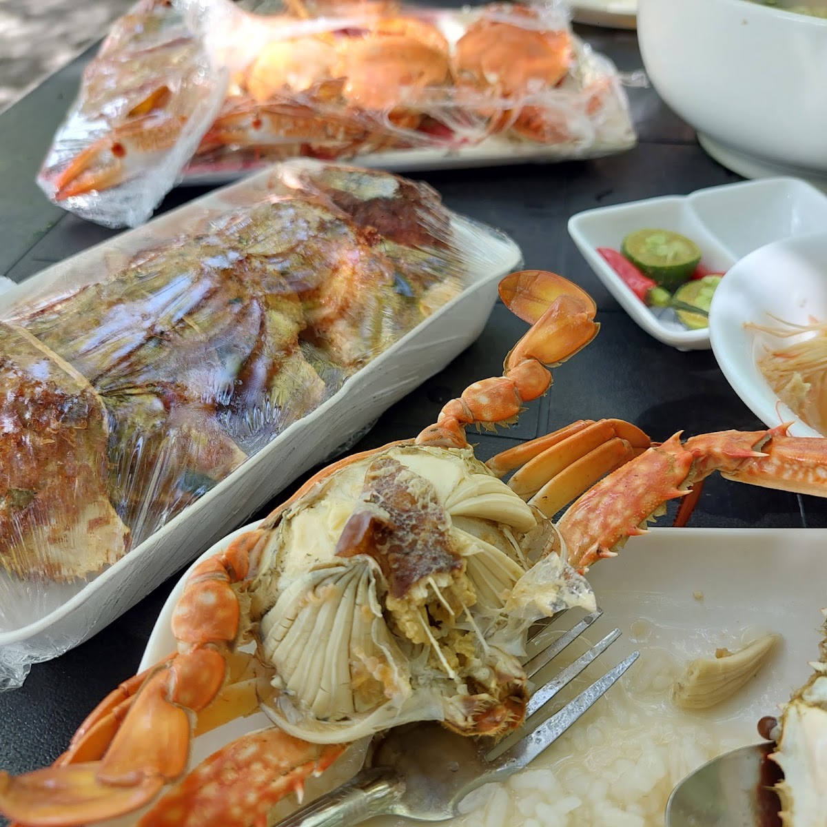 Tomongtong Mangrove Trail-6