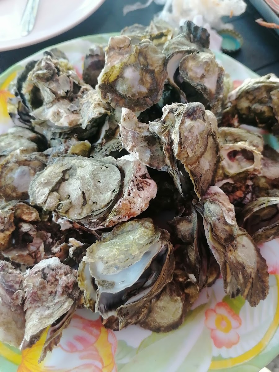 Tomongtong Mangrove Trail-7