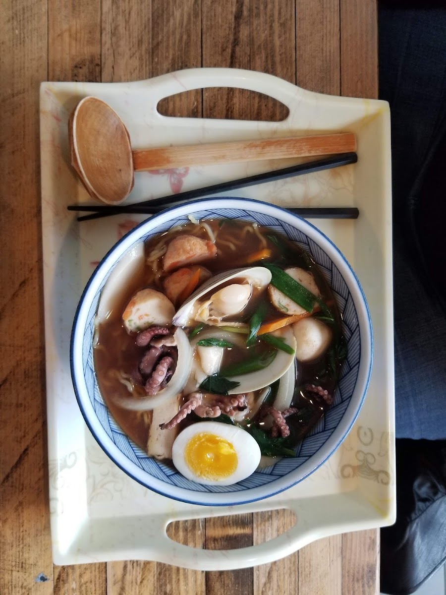 Tori Ramen Chicken-10