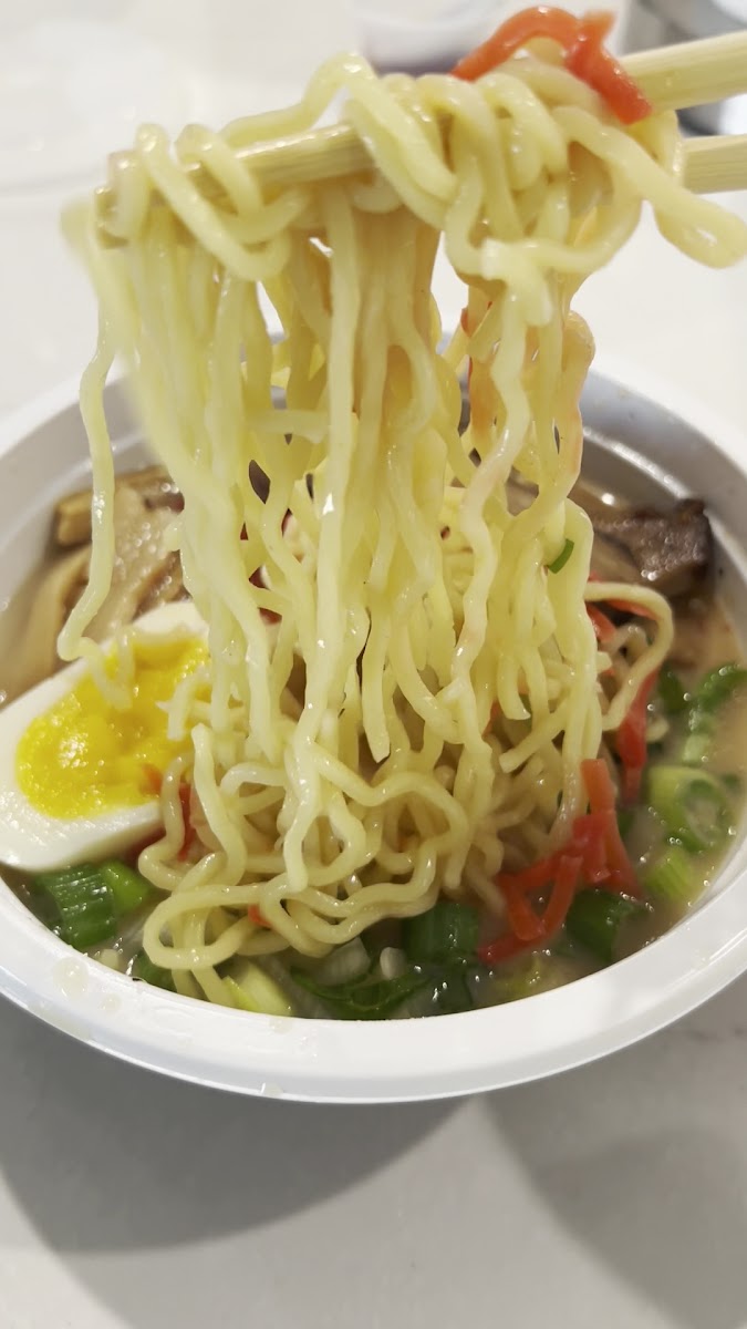Tori Ramen Chicken-2