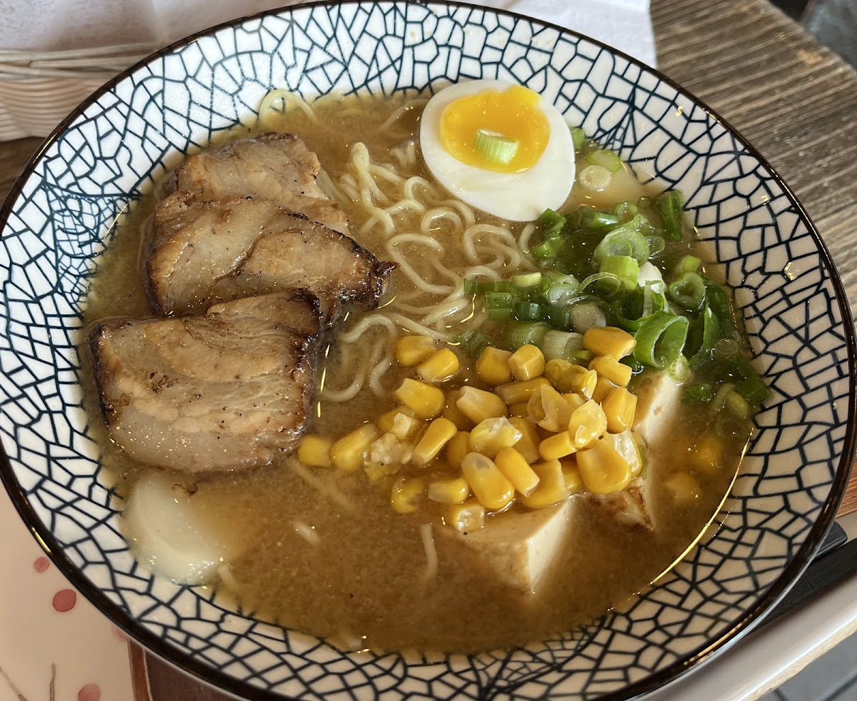 Tori Ramen Chicken-3