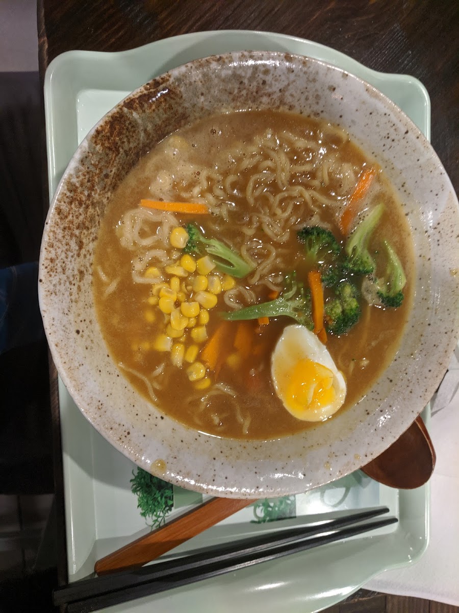 Tori Ramen Chicken-9