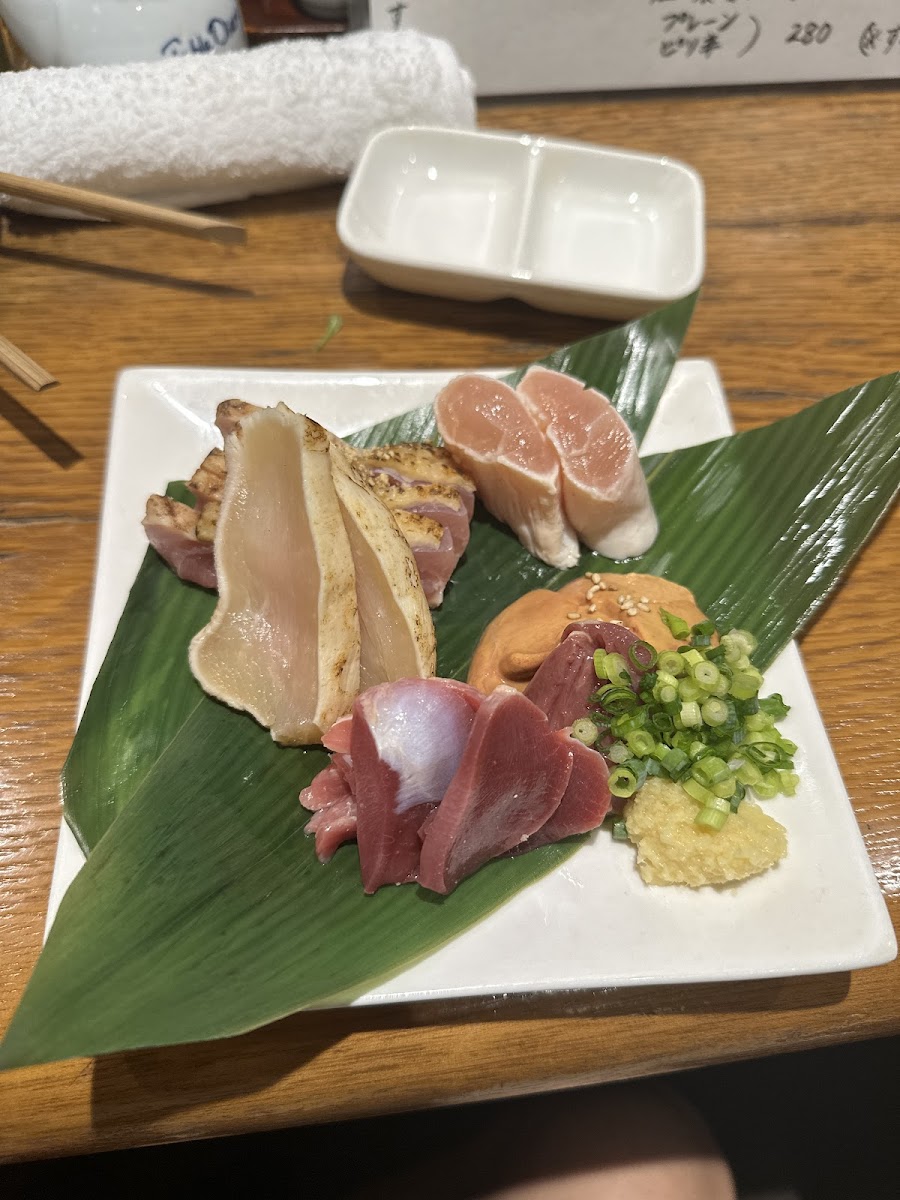 Torimasa-9