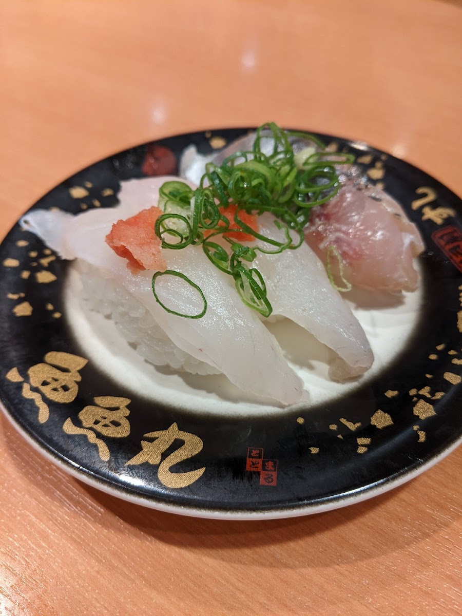 Totomaru Mikawa Anjo-5