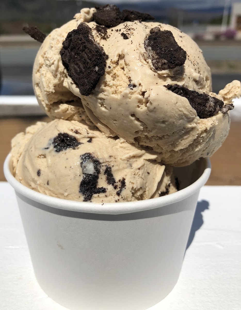 Trails End Ice Cream Shop - Intervale Scenic Vista-2