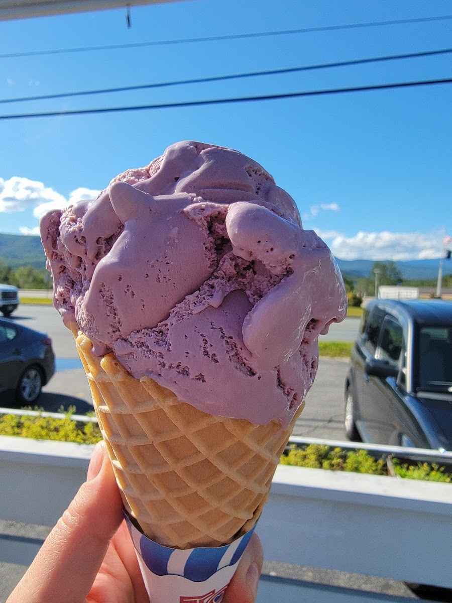 Trails End Ice Cream Shop - Intervale Scenic Vista-6