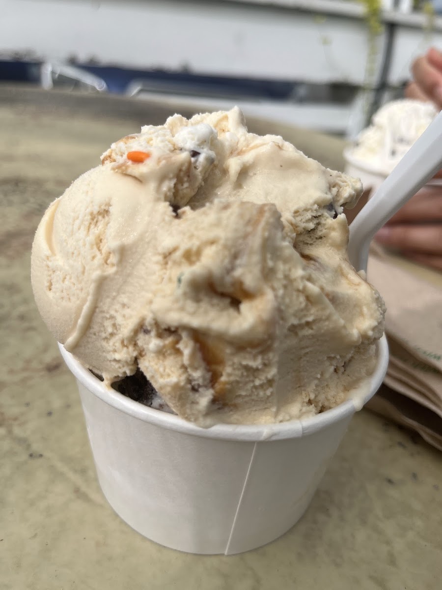 Trails End Ice Cream Shop - Intervale Scenic Vista-9