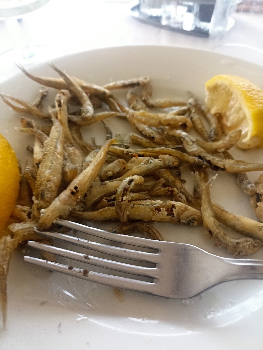 Trattoria Pesci Vivi-3