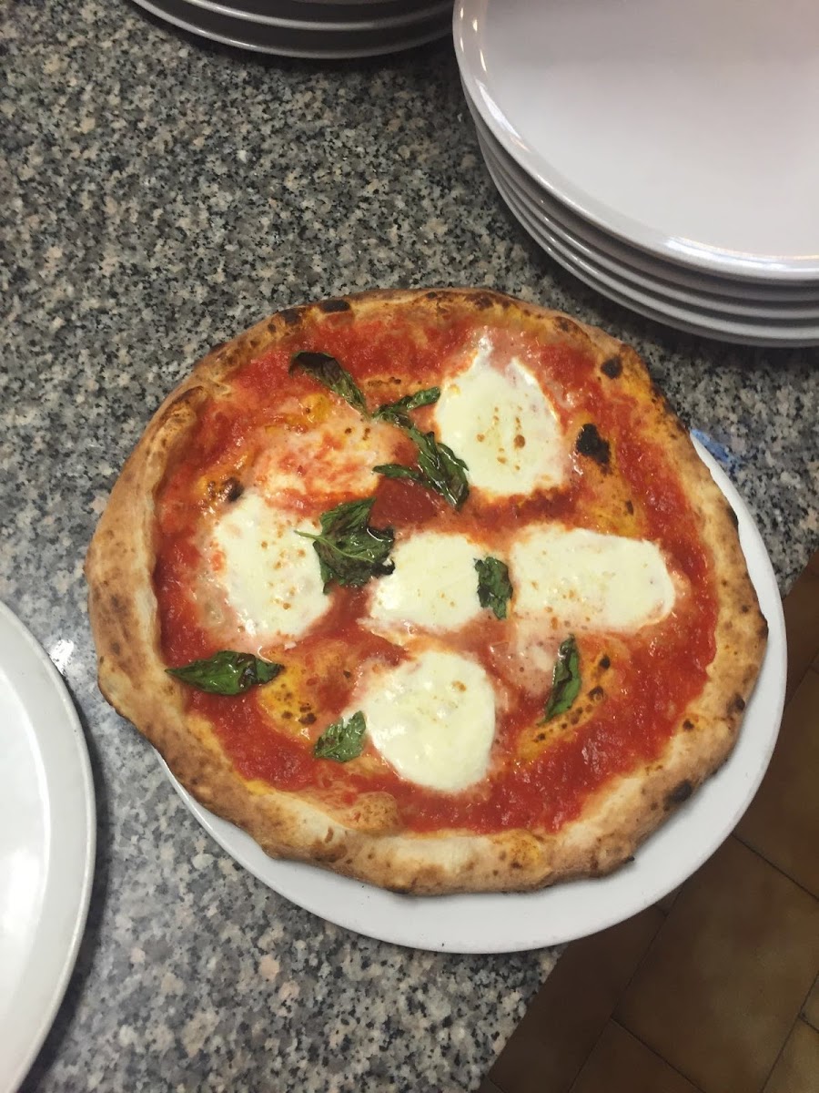 Trattoria - Pizzeria La Fiorente-5