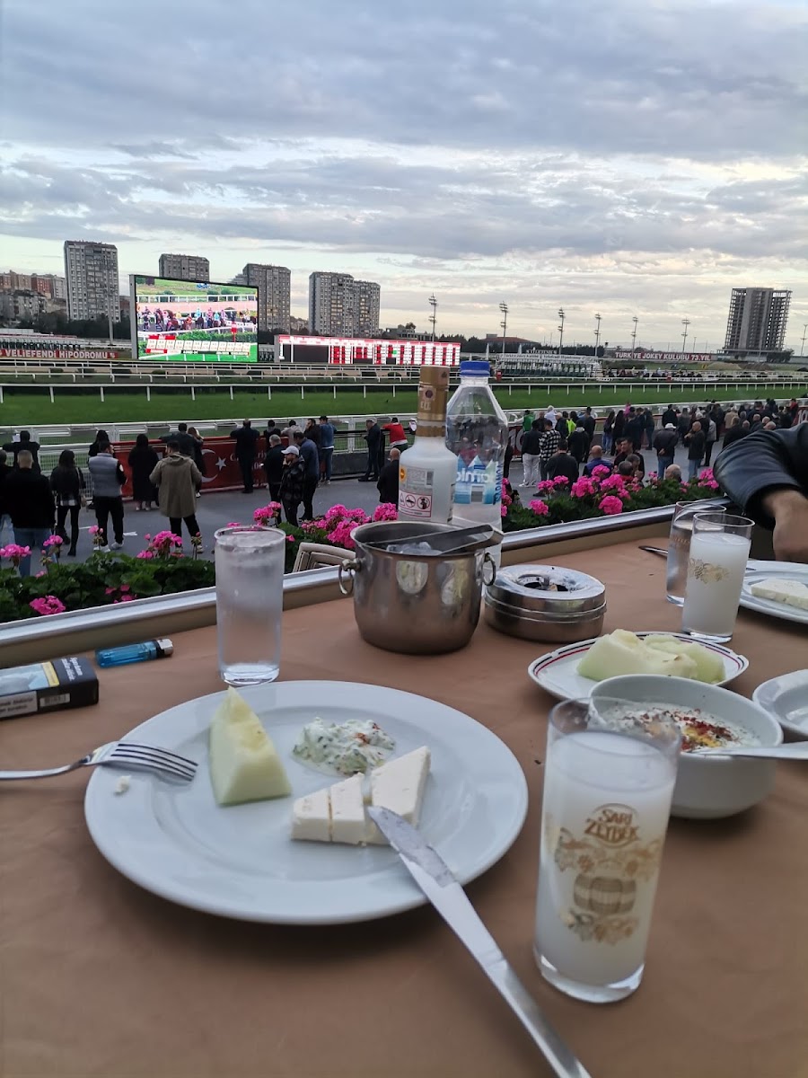 Türkiye Jokey Kulübü Veliefendi Hipodromu Vip Salonu-9