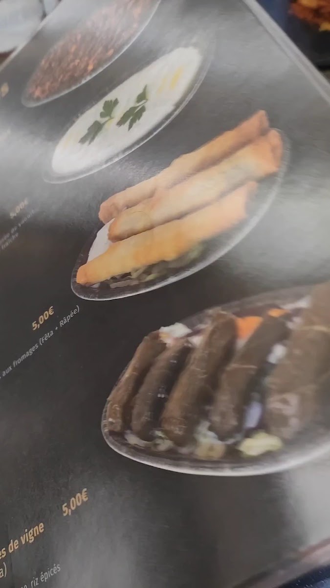 Turkish Grille-2