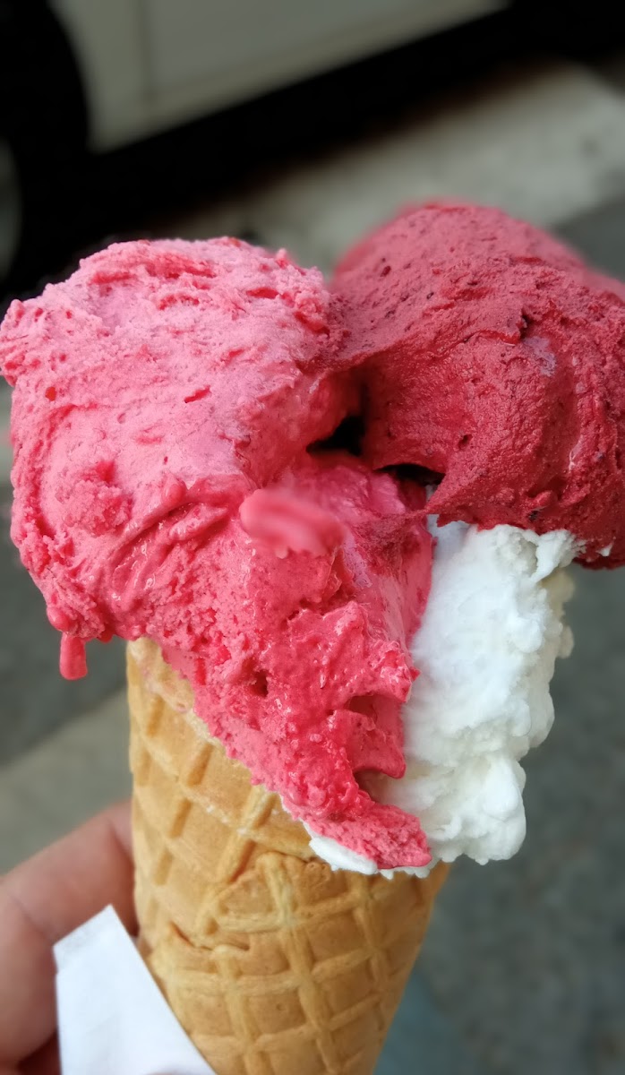 Ul Gelatè-7