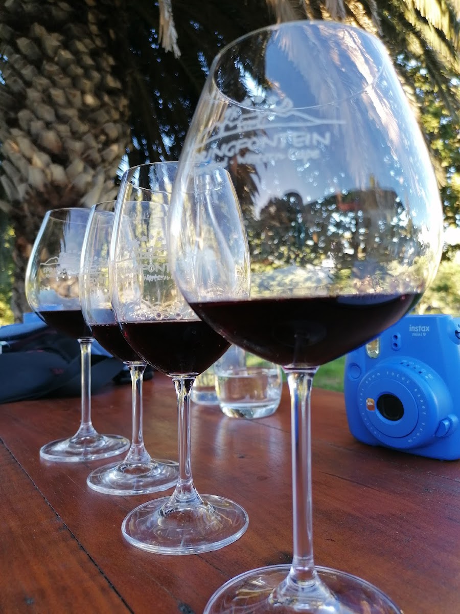 Ulumbaza Wine Bar(N) @ Springfontein Wine Estate-5