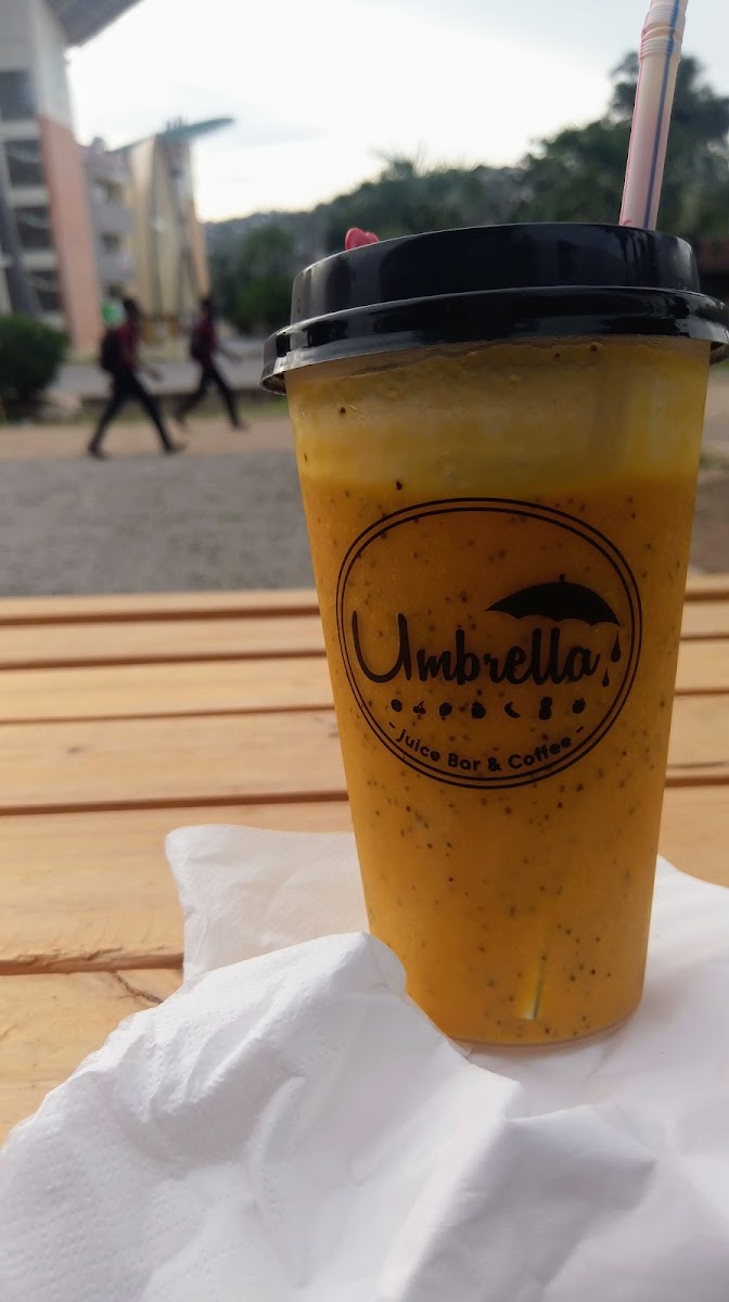 Umbrella Foods-8