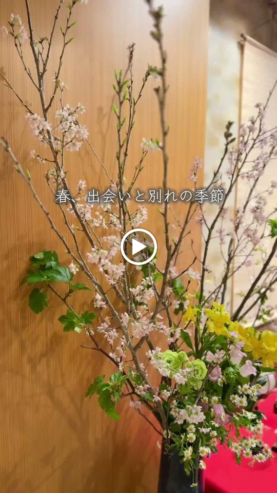 Umenohana Nishinomiyakitaguchi-2