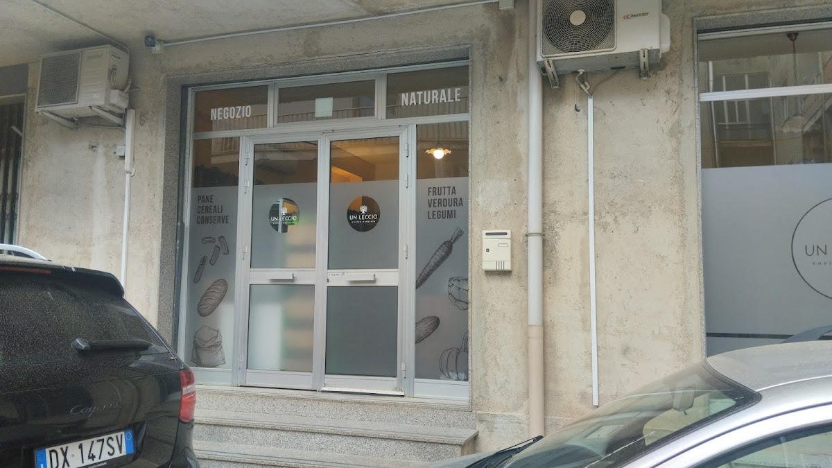 Un Leccio