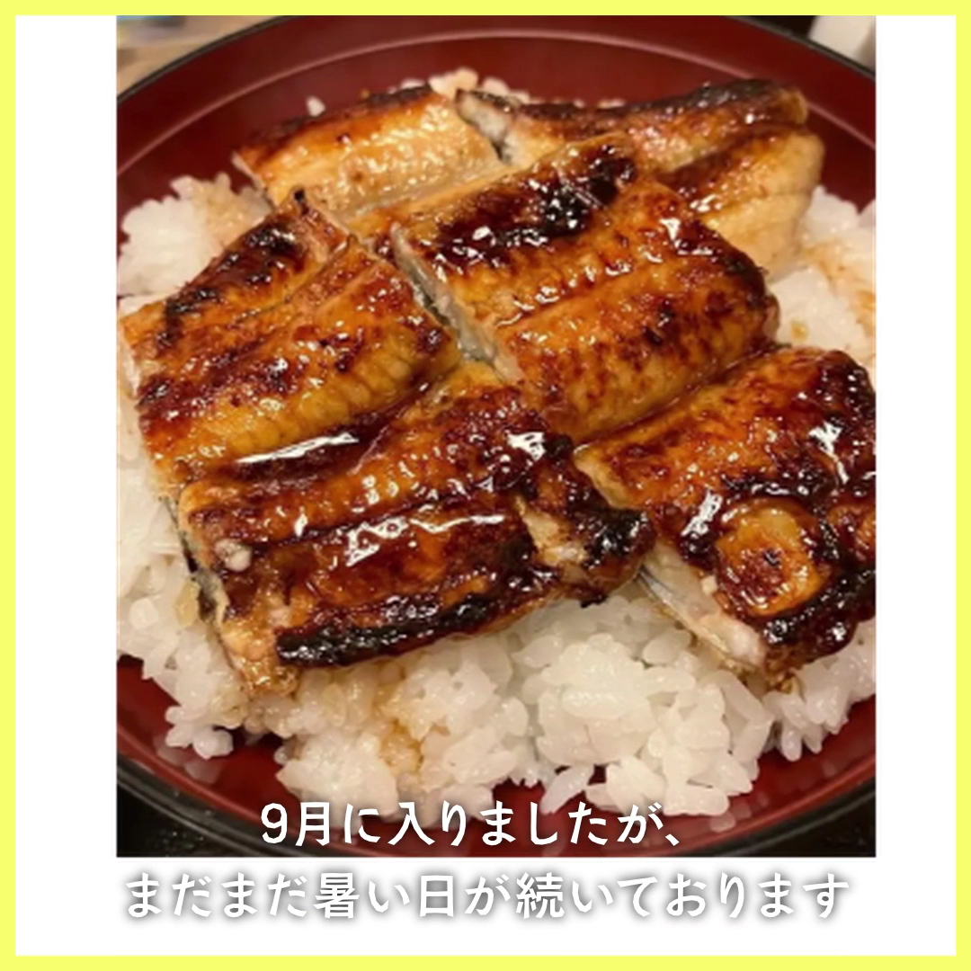 Unagi