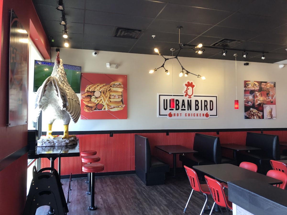 Urban Bird Hot Chicken-4